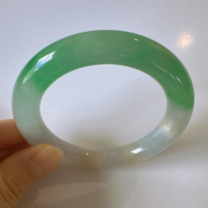 Earthveil - Round Shaped Icy Green and White Burma Jade Bangle Bracelet