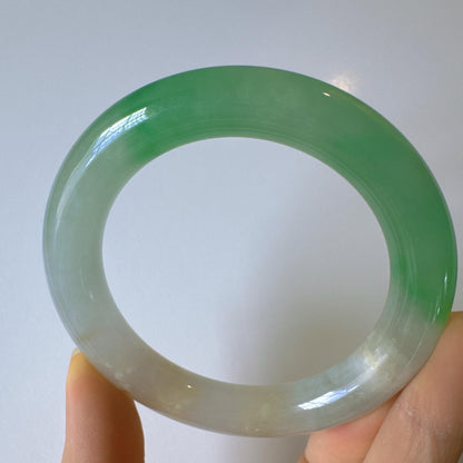 Earthveil - Round Shaped Icy Green and White Burma Jade Bangle Bracelet