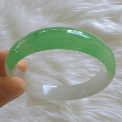 Earthveil - Light Green and White Burma Jade Jadeite Bangle