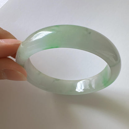 Earthveil - Timeless Light Green Burma Jade Bangle Bracelet