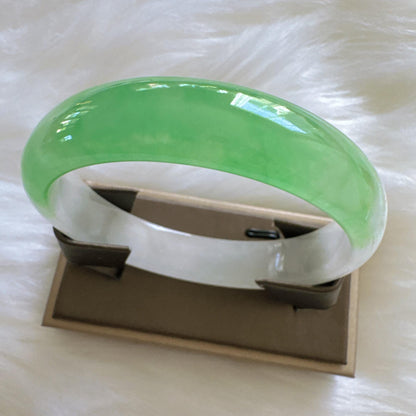 Earthveil - Light Green and White Burma Jade Jadeite Bangle