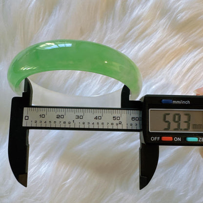 Earthveil - Light Green and White Burma Jade Jadeite Bangle