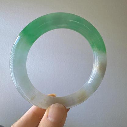 Earthveil - Round Shaped Icy Green and White Burma Jade Bangle Bracelet