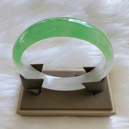 Earthveil - Light Green and White Burma Jade Jadeite Bangle
